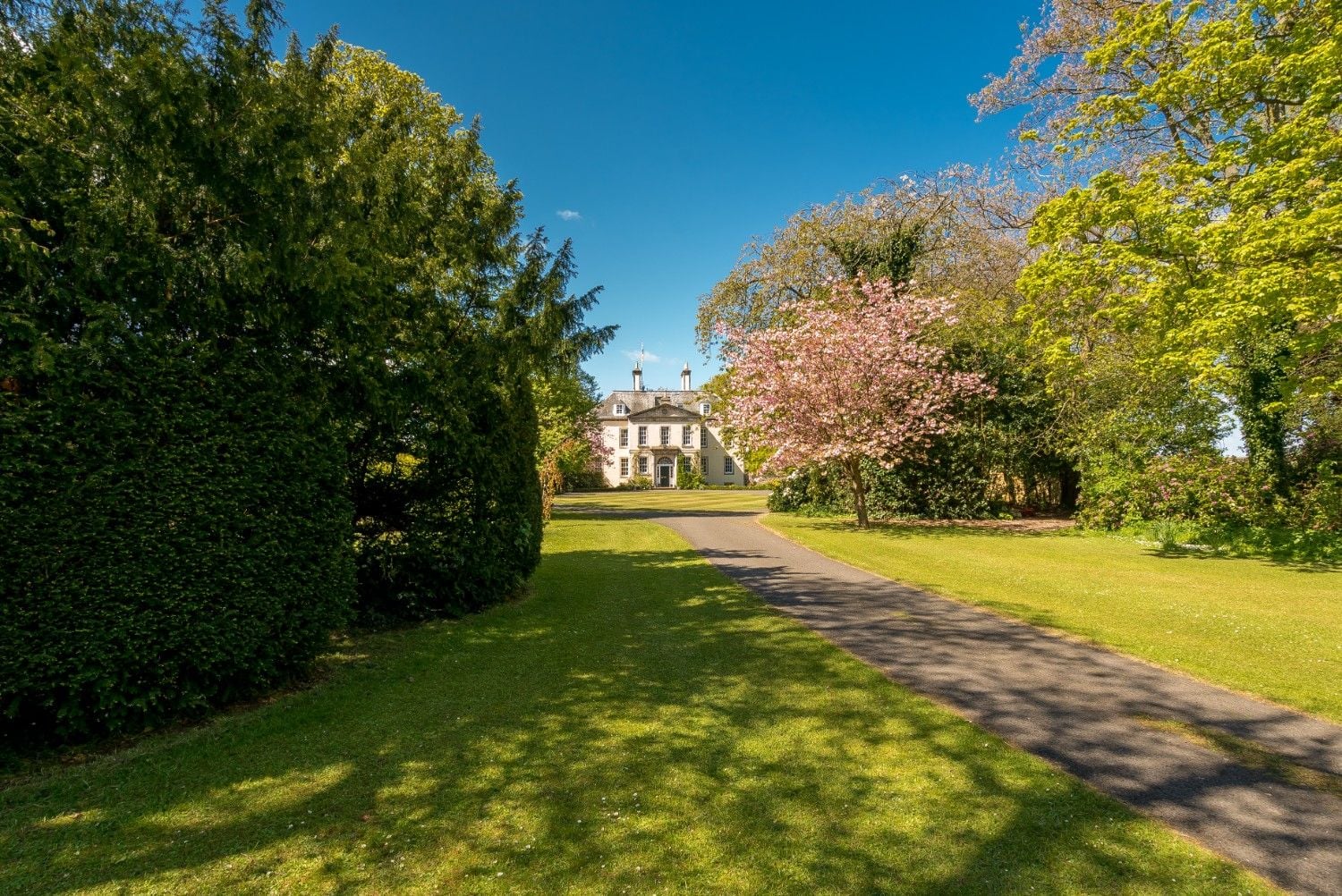 The Royal Grove for 24 guests image 2